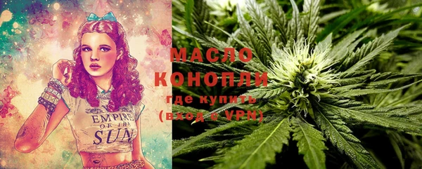 дживик Пестово