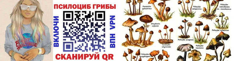 Галлюциногенные грибы Cubensis  Сысерть 